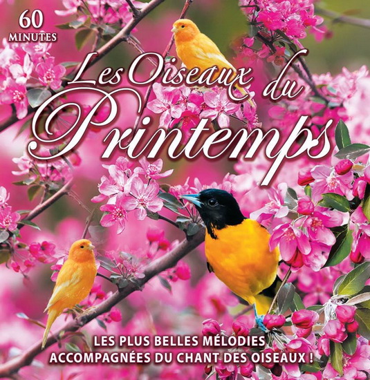 Les Oiseaux du Printemps - COMPILATION NOUVEL AGE