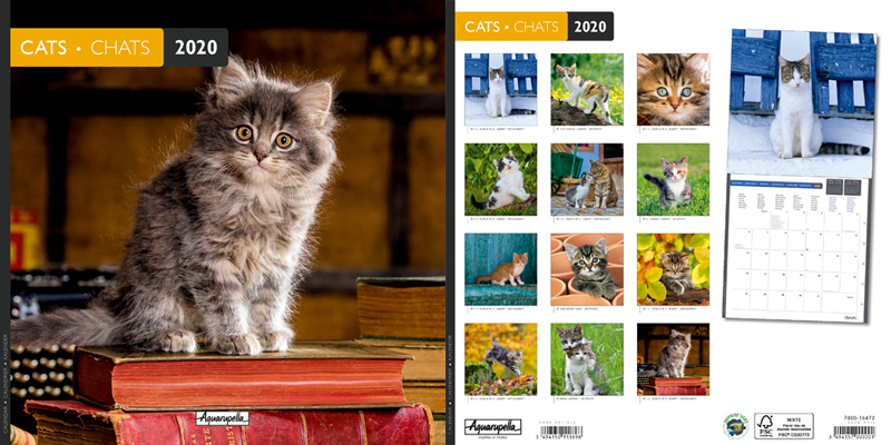 Calendrier 2020 Chats 30x30cm