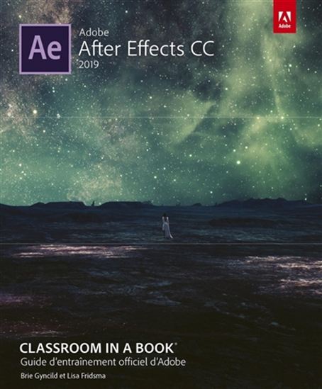 After Effects CC 2019 - LISA FRIDSMA - BRIE GYNCILD