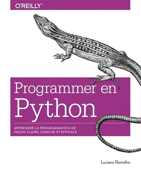 LUCIANO RAMALHO - Programmer avec Python - Informatique - LIVRES ...
