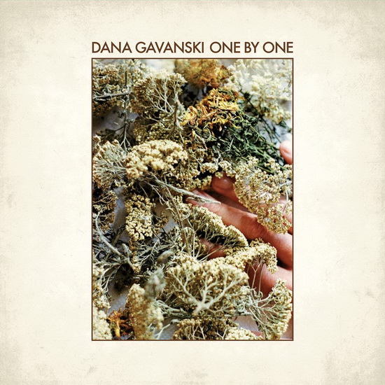 One By One - Single (Vinyl 7") - DANA GAVANSKI