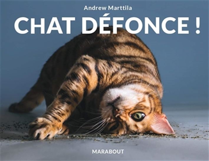 Chat défonce ! - ANDREW MARTTILA