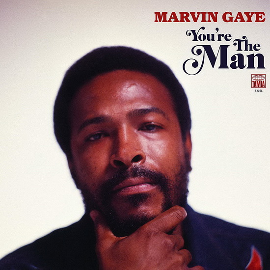 You’re The Man - MARVIN GAYE