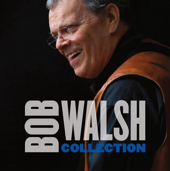 Bob Walsh Collection (Vinyl-180gr.) - BOB WALSH