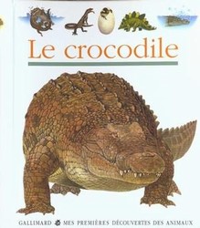 Le Crocodile - SYLVAINE PEYROLS