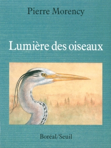 Lumière des oiseaux - PIERRE MORENCY
