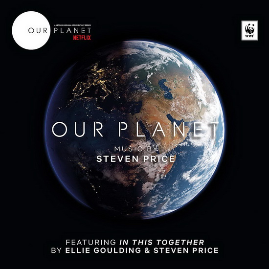 Our Planet (2Vinyl) - STEVEN PRICE