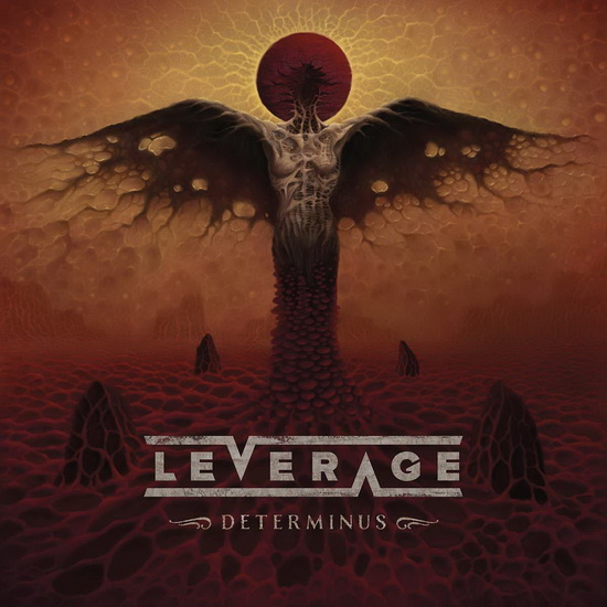 Determinus - LEVERAGE