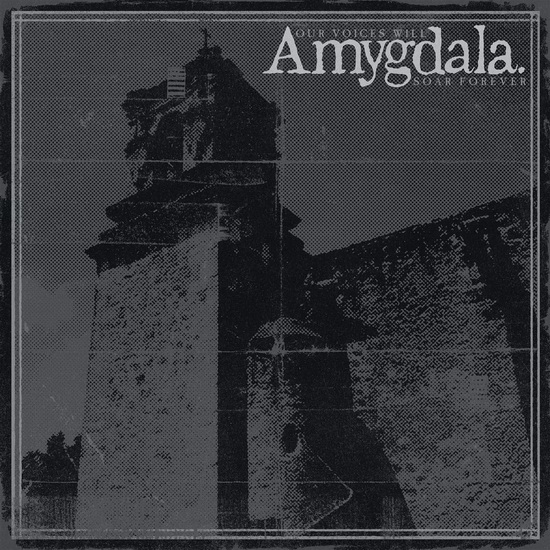 Our Voices Will Soar Forever - AMYGDALA
