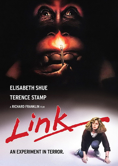 Link - FRANKLIN RICHARD