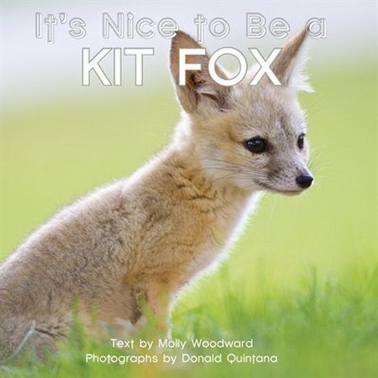 It&#39;s Nice to Be a Kit Fox - MOLLY WOODWARD - DONALD QUINTANA