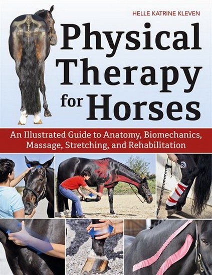 Physical Therapy for Horses - KATRINE KLEVEN HELLE