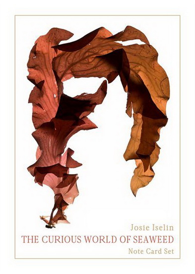 The Curious World of Seaweed Note Card Box - JOSIE ISELIN