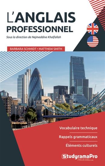 L&#39;Anglais professionnel : vocabulaire technique, rappels grammaticaux, éléments culturels - BARBARA SCHMIDT - MATTHEW