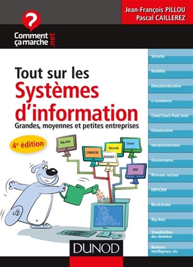 Tout sur les systèmes d&#39;information : grandes, moyennes et petites entreprises 4e éd. - PASCAL CAILLEREZ - JEAN-FRANÇOIS PILLOU