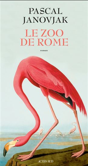 Le Zoo de Rome - PASCAL JANOVJAK