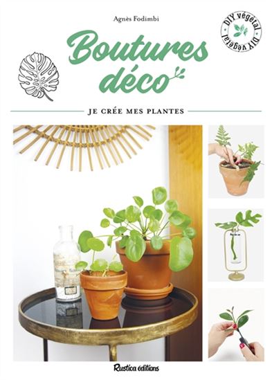 Boutures déco : je crée mes plantes - AGNÈS FODIMBI