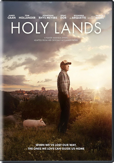 Holy Lands - AMAMDA STHERS