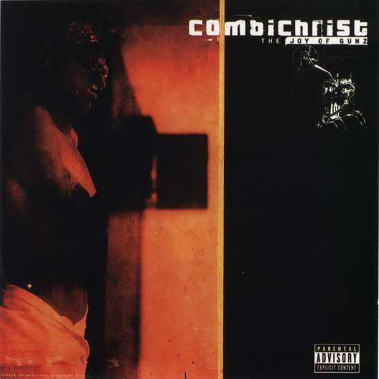 The Joy Of Gunz (2Vinyl) - COMBICHRIST