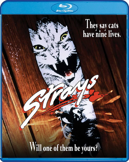 Strays (Blu-Ray) - MCPHERSON JOHN