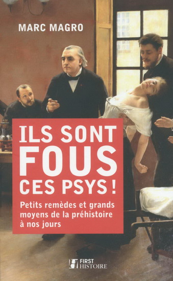 Ils sont fous ces psys ! : petits remèdes et grands moyens de la préhistoire à nos jours - MARC MAGRO