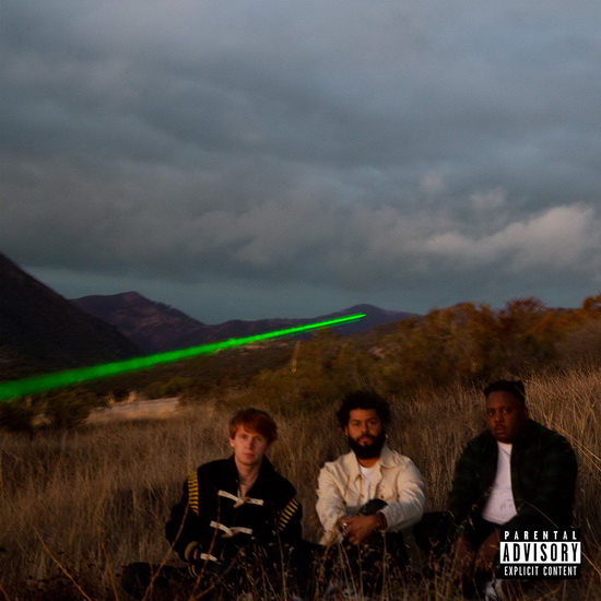 Injury Reserve (Vinyl) - INJURY RESERVE