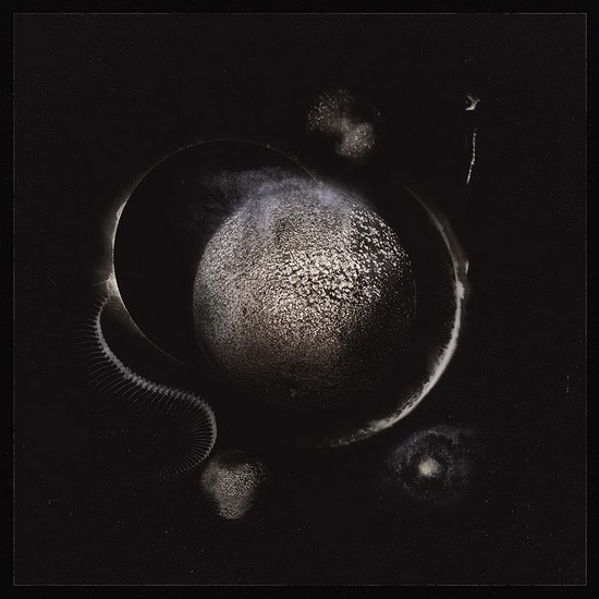 Cold Black Suns - ENTHRONED
