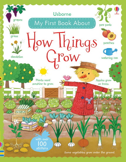 My First Book About How Things Grow - FELICITY BROOKS