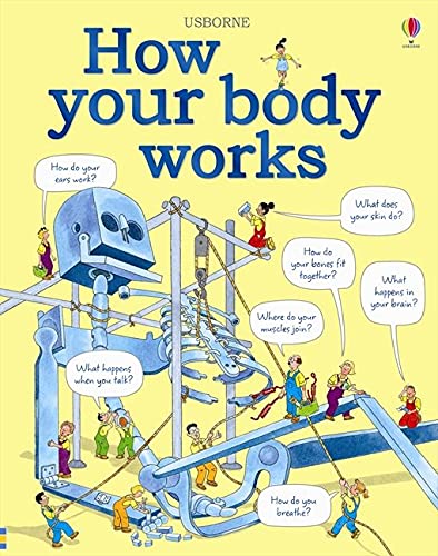 HOW YOUR BODY WORKS - JUDY HINDLEY