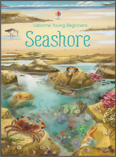 SEASHORE - EMILY BONE