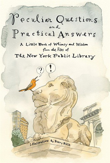 Peculiar Questions and Practical Answers - COLLECTIF