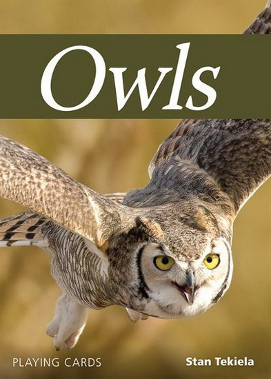 Owls Playing Cards - STAN TEKIELA