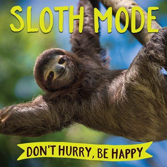 Sloth Mode - COLLECTIF