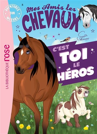 Mes amis les chevaux : c'est toi le héros - CATHERINE KALENGULA - SOPHIE THALMANN