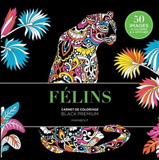 Félins : carnet de coloriage - COLLECTIF
