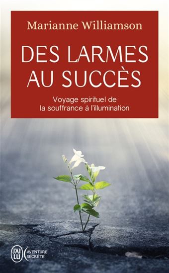 Des larmes au succès : voyage spirituel de la souffrance à la lumière - MARIANNE WILLIAMSON