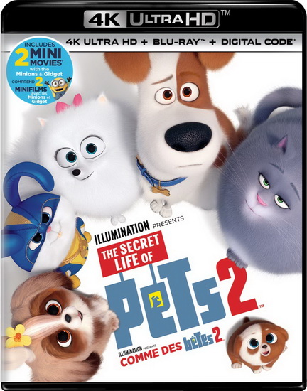 The Secret Life of Pets 2 (Comme des bêtes 2) (4K+Blu-Ray) - RENAUD CHRIS