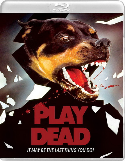 Play Dead (Blu-Ray+Dvd) - PETER WITTMAN
