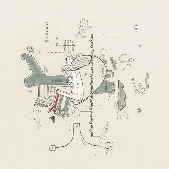Tiny Changes: A Celebration Of The Midnight Organ Fight (2Vinyl) - FRIGHTENED RABBIT & FRIENDS
