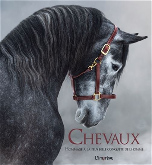 Chevaux : hommage à la plus belle conquête de l&#39;homme N. éd. - COLLECTIF