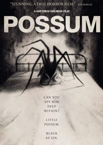 Possum - MATTHEW HOLNESS