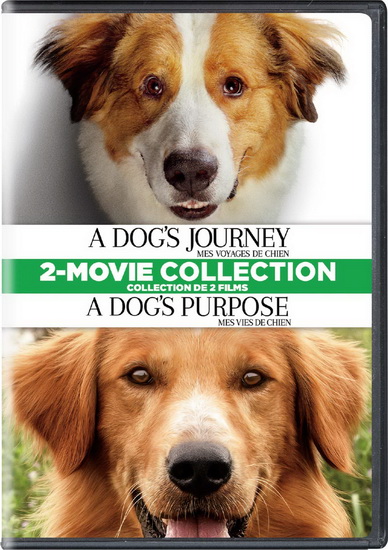 A Dog's Journey / A Dog's Purpose - DIVERS