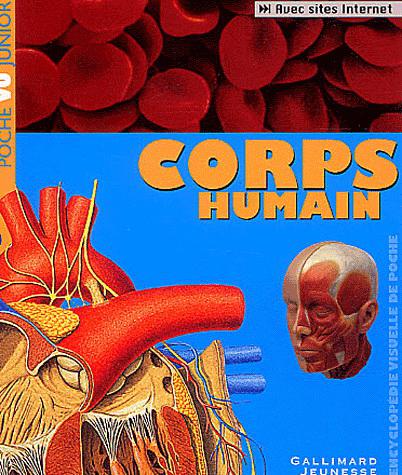 Corps humain - SARAH BREWER