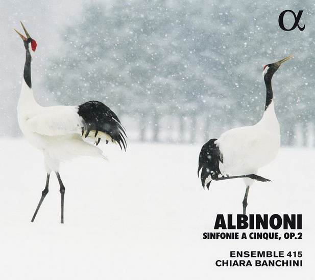 Albinoni: Sinfonie a Cinque Op.2 - ALBINONI