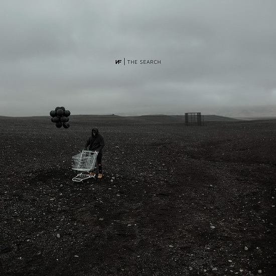 The Search (Vinyl) - NF