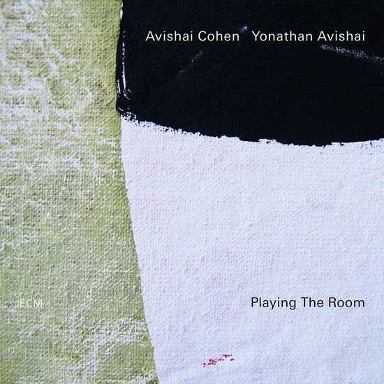 Playing The Room (Vinyl) - AVISHAI COHEN - YONATHAN AVISHAI