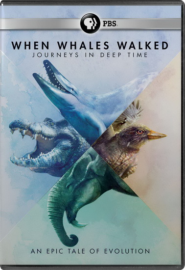 When Whales Walked: A Deep Time Journey - LEE PACE