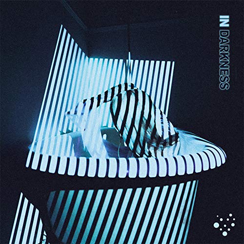 In Darkness (Vinyl) - VARIALS