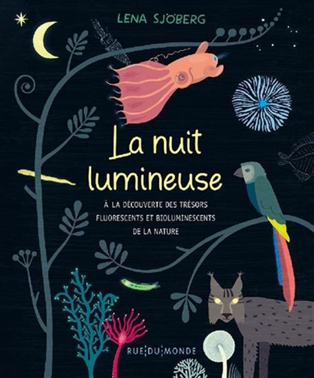 La Nuit lumineuse - LENA SJÖBERG