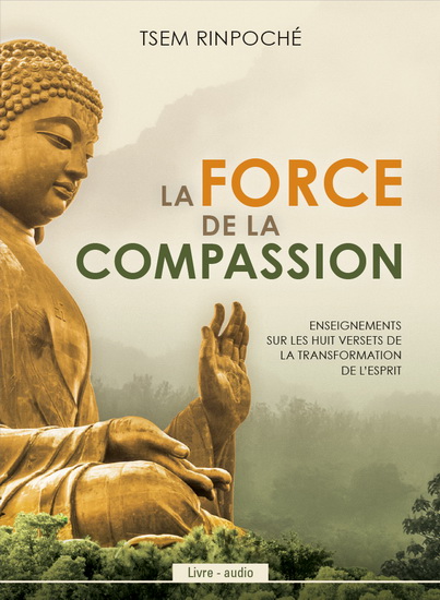La Force de la compassion - TSEM RINPOCHE